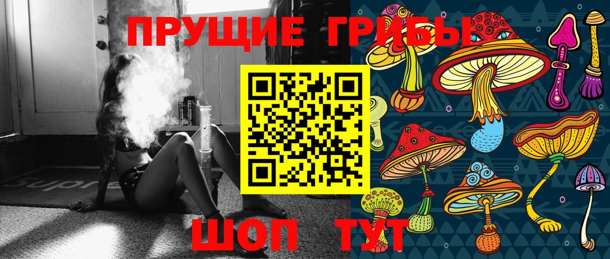 купить наркотик  Псилоцибиновые грибы Cubensis  Тобольск  Вход с VPN  Псилоцибиновые грибы Psilocybe 